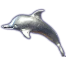 Dolphin